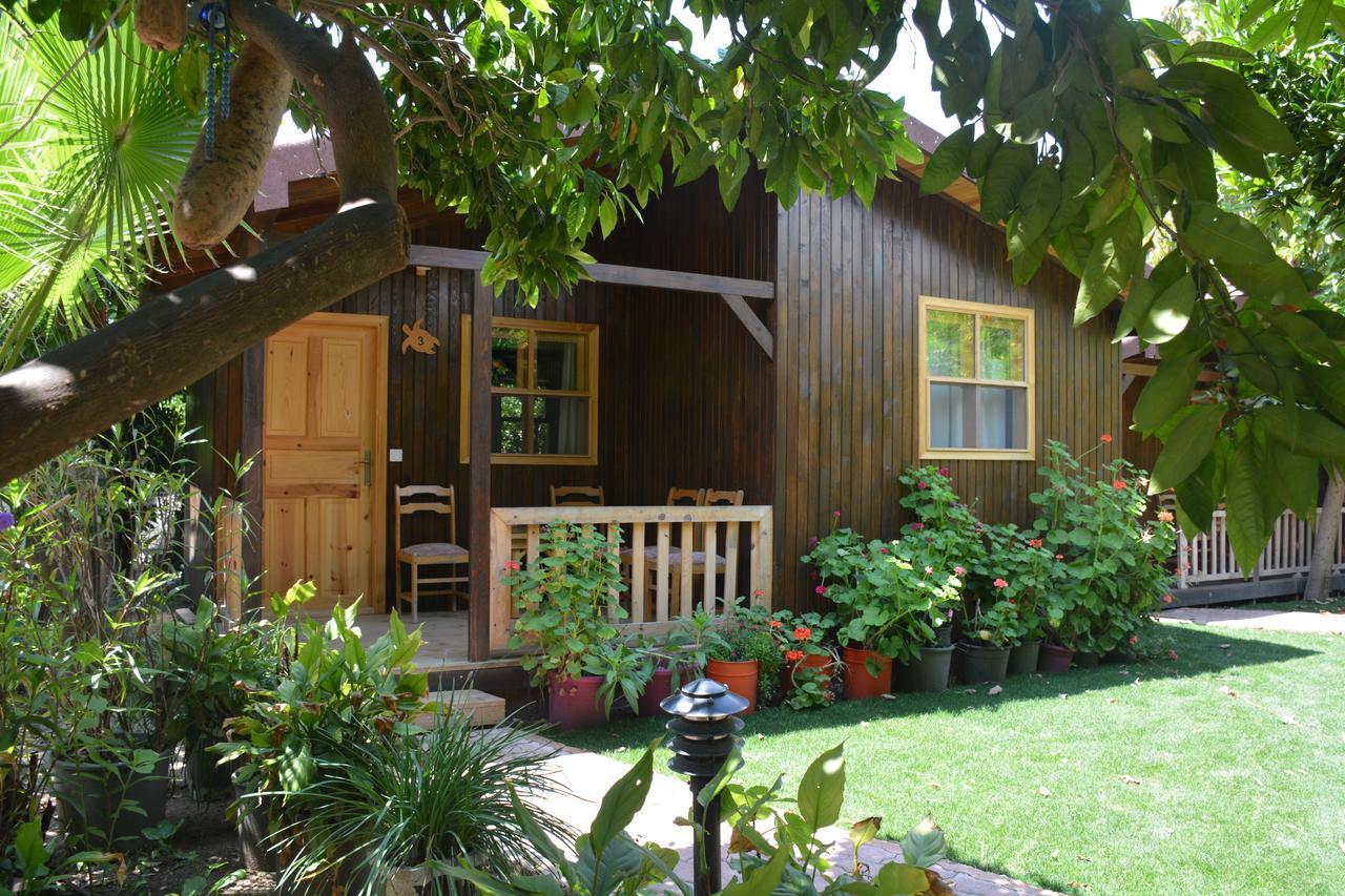 Caretta Caretta Pansiyon