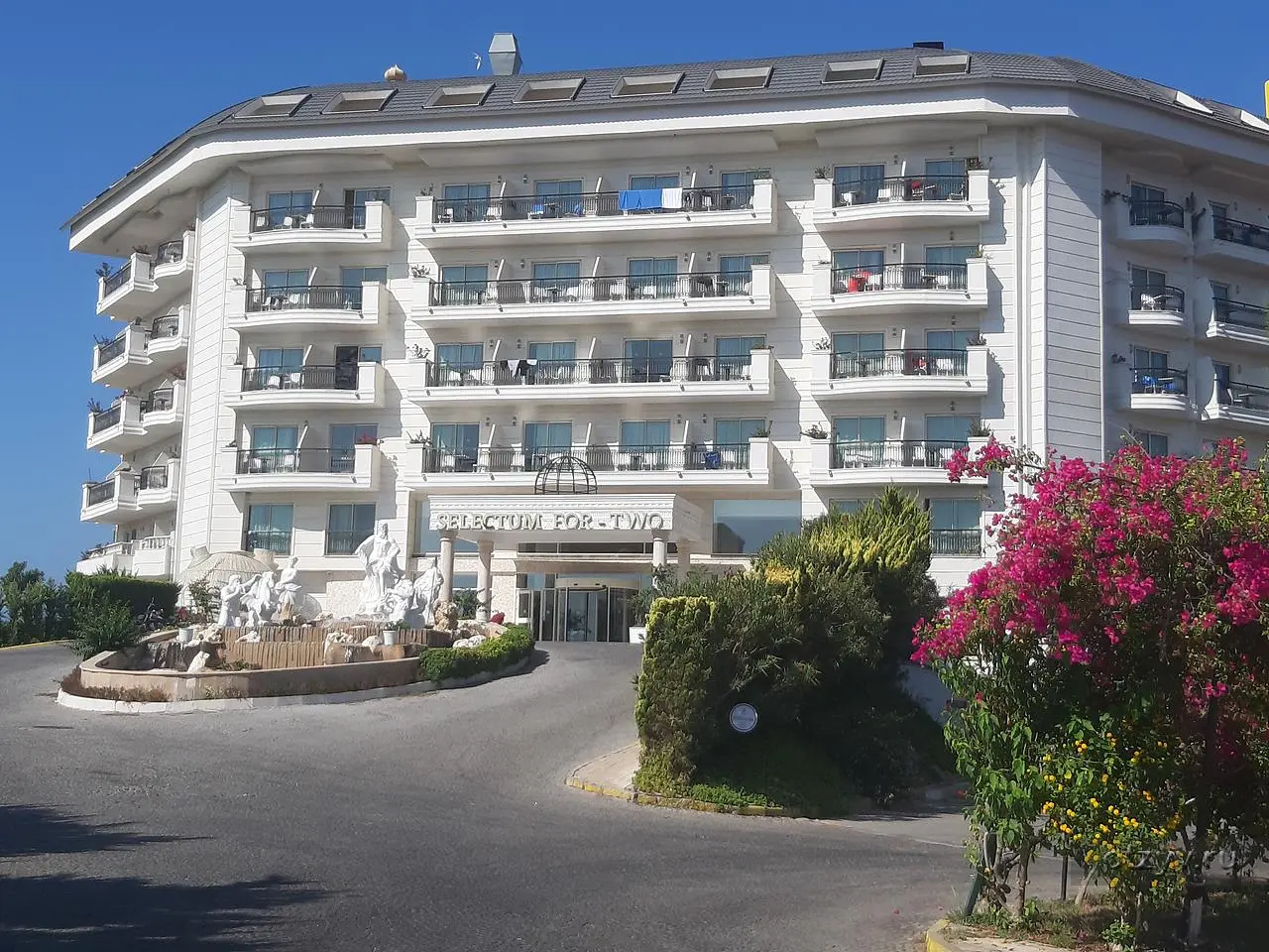 Selectum For Two Side