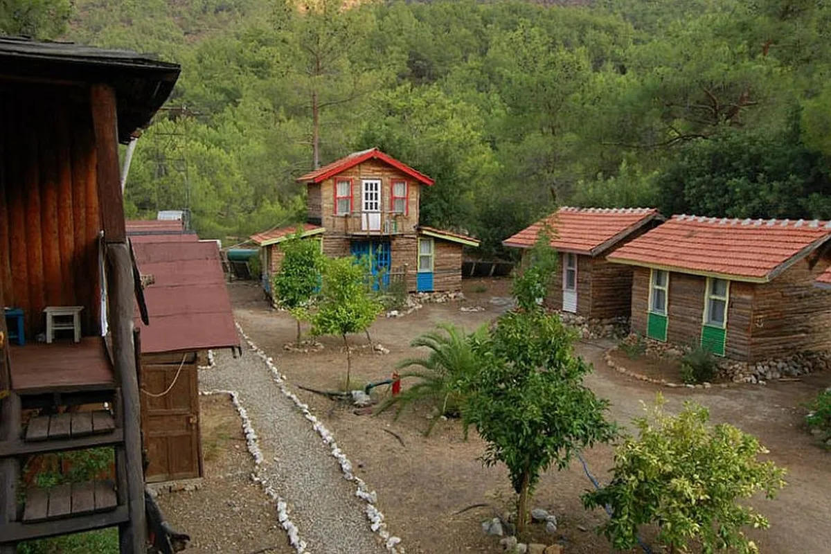 Jungle Bungalows & Camping